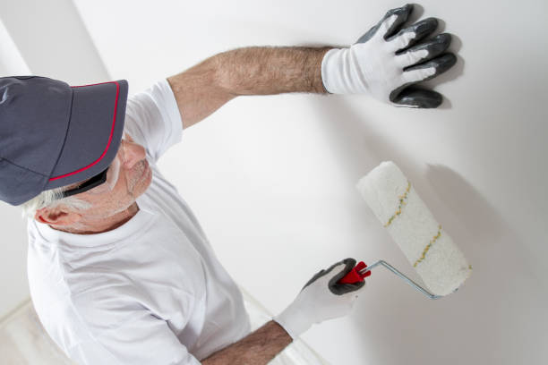 Best Mold Remediation for Vacation Homes  in Springmont, PA