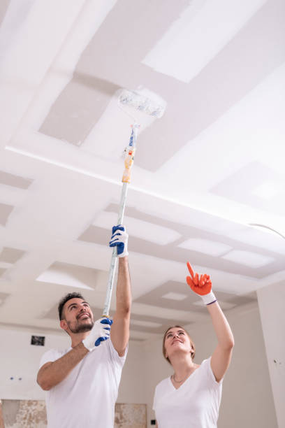 Best Mold Prevention Services  in Springmont, PA